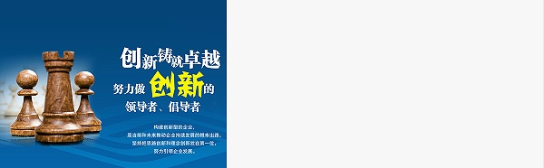 凯奥压力器