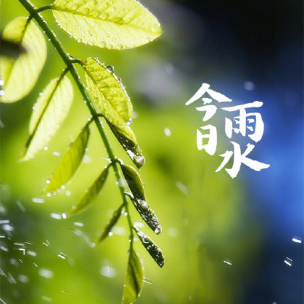 雨水_副本
