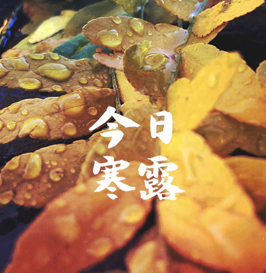 今日寒露，凯奥提醒勿忘添衣。
