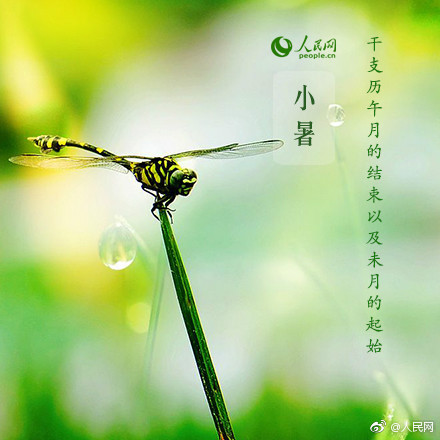 小暑
